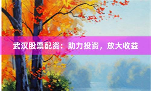 武汉股票配资：助力投资，放大收益