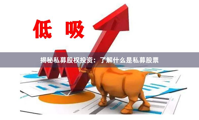 揭秘私募股权投资：了解什么是私募股票