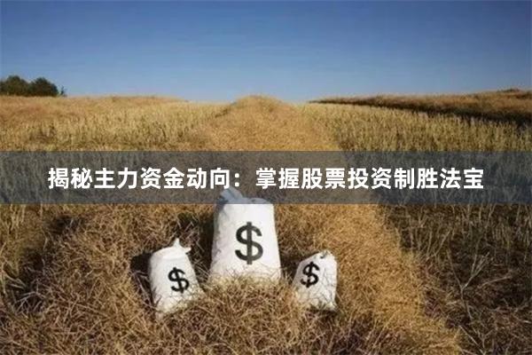 揭秘主力资金动向：掌握股票投资制胜法宝