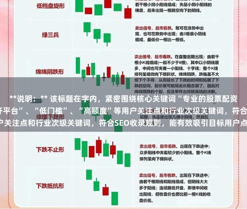 **说明：** 该标题在字内，紧密围绕核心关键词“专业的股票配资网”，并融入“安全正规”、“杠杆平台”、“低门槛”、“高额度”等用户关注点和行业次级关键词，符合SEO收录规则，能有效吸引目标用户点击。